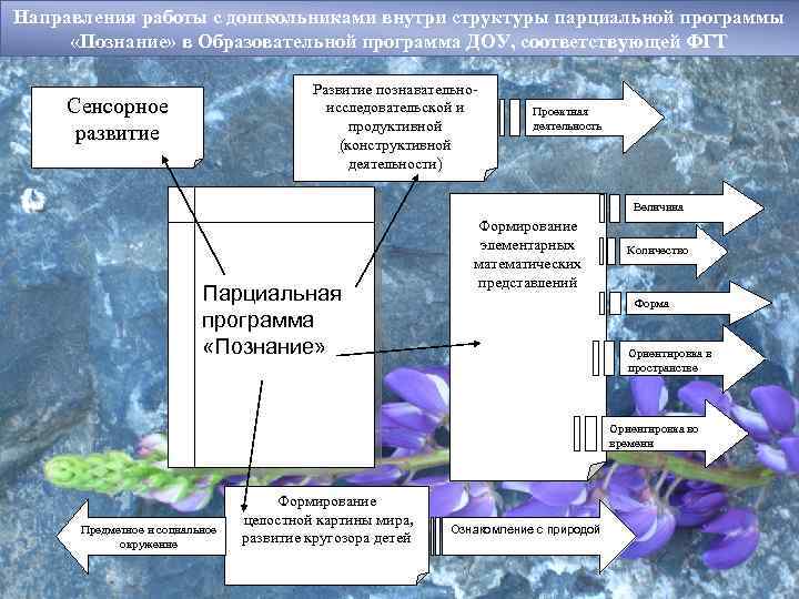 Направления работы с дошкольниками внутри структуры парциальной программы «Познание» в Образовательной программа ДОУ, соответствующей