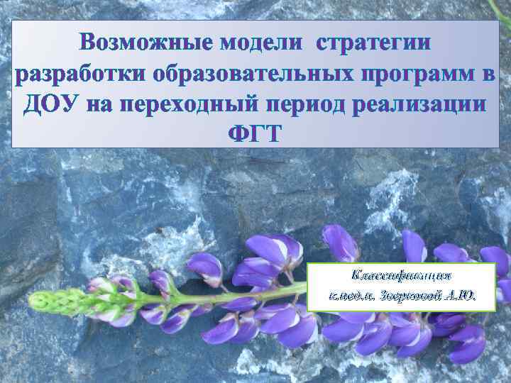 Возможные модели стратегии разработки образовательных программ в ДОУ на переходный период реализации ФГТ Классификация
