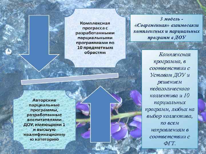 Парциальная программа включает. Комплексные и парциальные программы. Комплексная программа и парциальная программа. Парциальные программы в ДОУ.