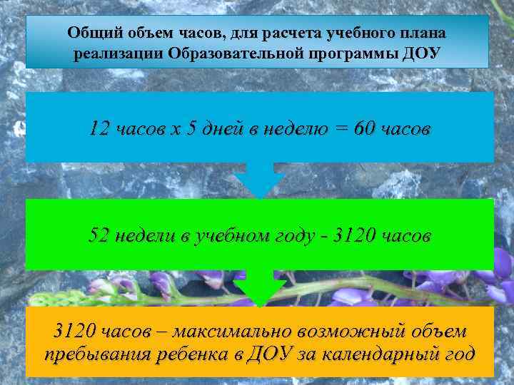 Общий объем часов, для расчета учебного плана реализации Образовательной программы ДОУ 12 часов х