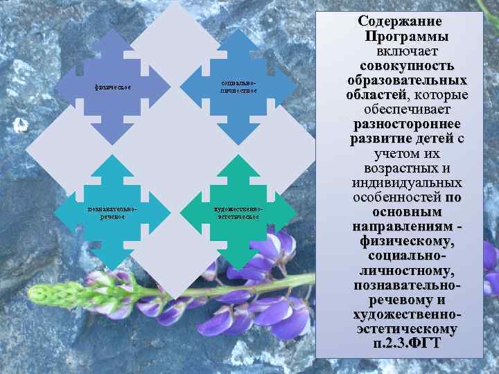 физическое социальноличностное познавательноречевое художественноэстетическое Содержание Программы включает совокупность образовательных областей, которые обеспечивает разностороннее развитие