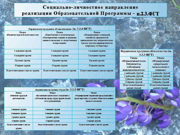 Социально-личностное направление реализации Образовательной Программы - п. 2. 3. ФГТ Парциальная программа «Социализация» (п.