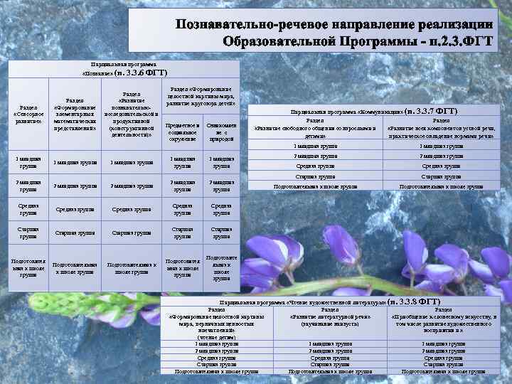 Познавательно-речевое направление реализации Образовательной Программы - п. 2. 3. ФГТ Парциальная программа «Познание» (п.