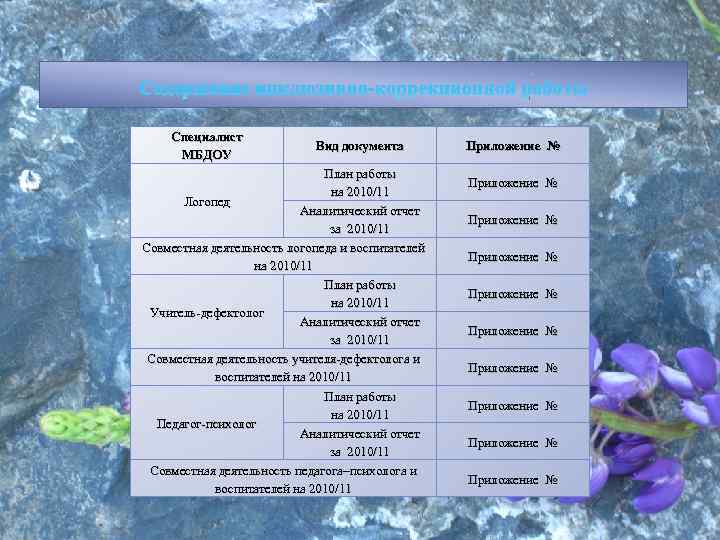 Содержание инклюзивно-коррекционной работы Специалист МБДОУ Вид документа План работы на 2010/11 Логопед Аналитический отчет