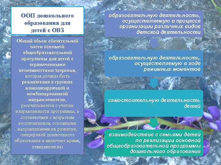 ООП дошкольного образования для детей с ОВЗ Общий объем обязательной части основной общеобразовательной программы