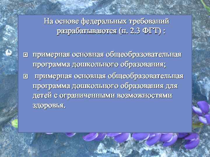 На основе федеральных требований разрабатываются (п. 2. 3 ФГТ) : примерная основная общеобразовательная программа