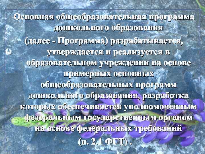 Основная общеобразовательная программа дошкольного образования (далее - Программа) разрабатывается, утверждается и реализуется в образовательном