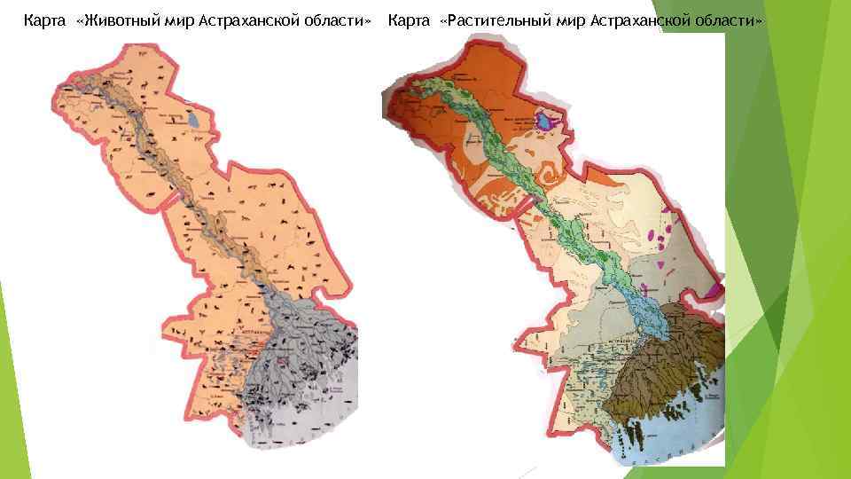 Почвенная карта камчатского края