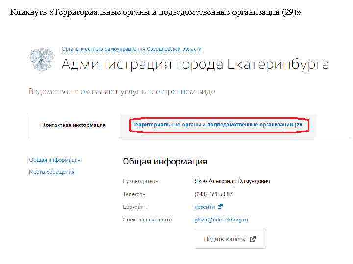 Кликнуть «Территориальные органы и подведомственные организации (29)» 