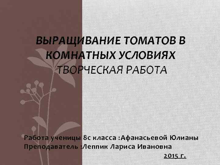 ВЫРАЩИВАНИЕ ТОМАТОВ В КОМНАТНЫХ УСЛОВИЯХ ТВОРЧЕСКАЯ РАБОТА Работа ученицы 8 с класса : Афанасьевой