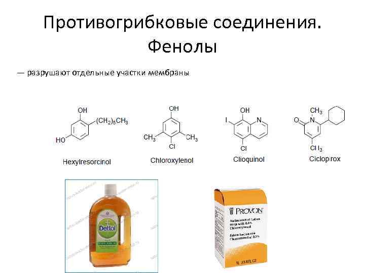 Противогрибковые соединения. Фенолы — разрушают отдельные участки мембраны 