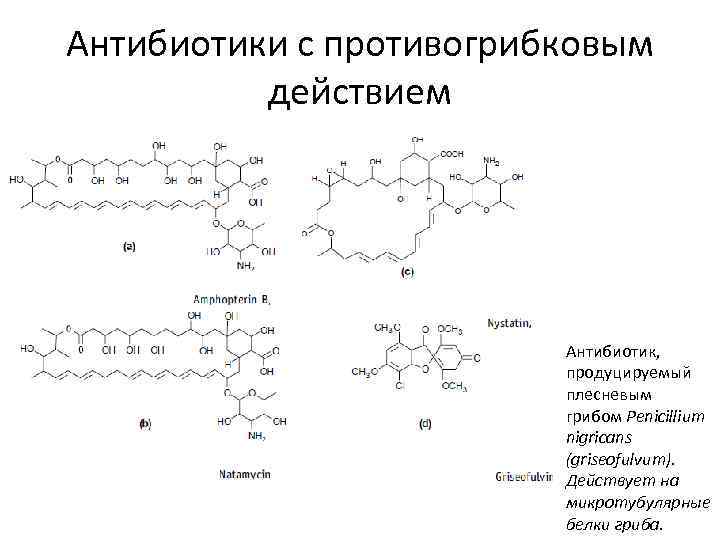 Антибиотики с противогрибковым действием Антибиотик, продуцируемый плесневым грибом Penicillium nigricans (griseofulvum). Действует на микротубулярные