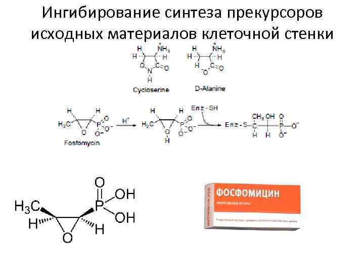 Ингибирование синтеза прекурсоров исходных материалов клеточной стенки 