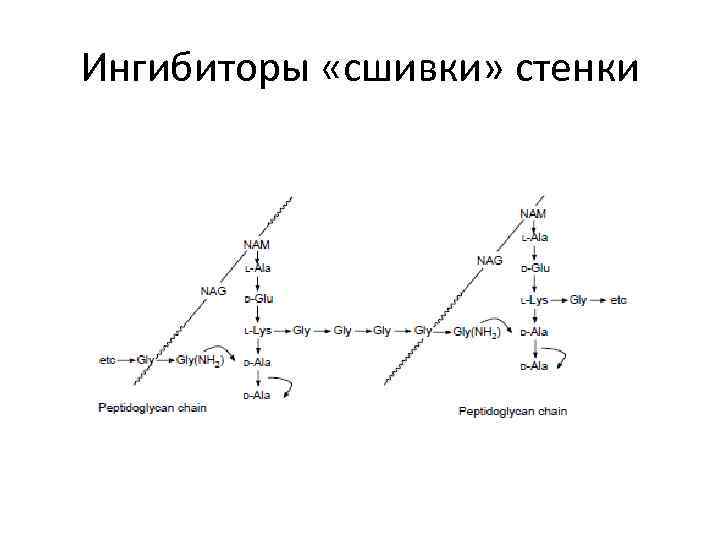 Ингибиторы «сшивки» стенки 