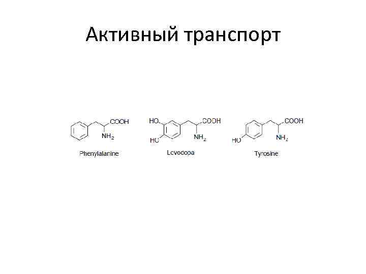 Активный транспорт 