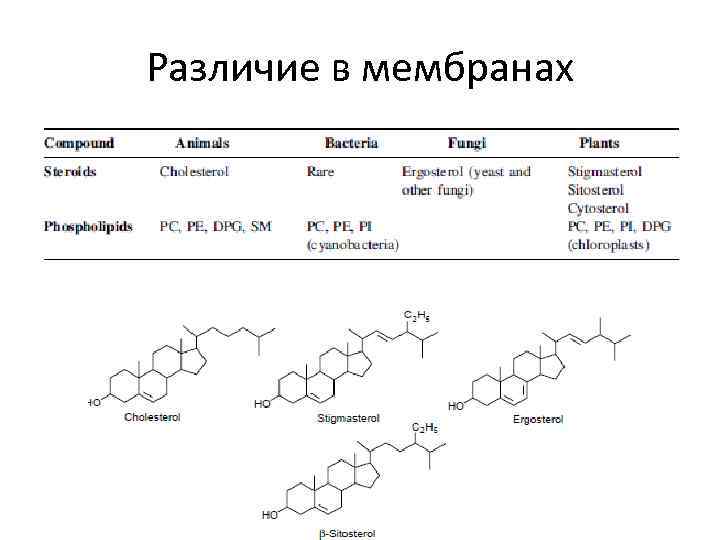 Различие в мембранах 