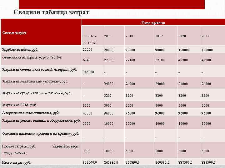 Сводная таблица затрат Годы проекта Статья затрат 1. 08. 16 - 2017 2018 2019