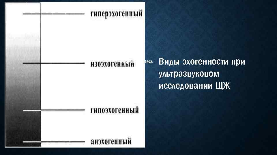 Поместите здесь ваш текст Виды эхогенности при ультразвуковом исследовании ЩЖ 