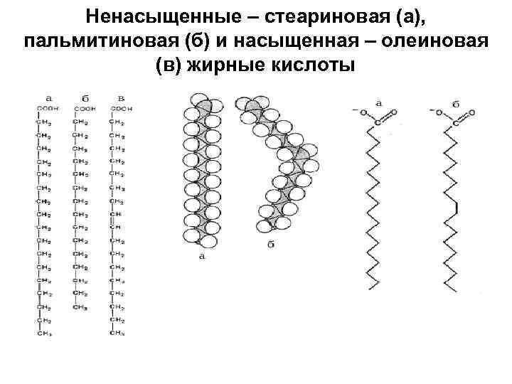 Пальмитиновая кислота презентация