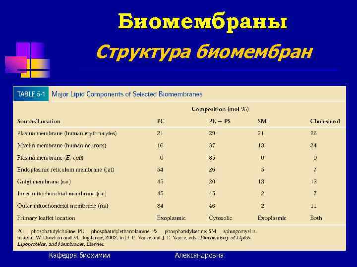 Биомембраны Структура биомембран Кафедра биохимии Невзорова Татьяна Александровна 