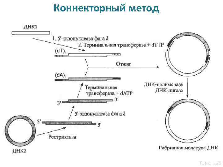 Коннекторный метод Тема № 3 