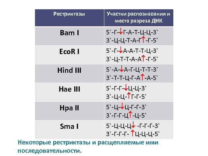 Последовательность распознавания