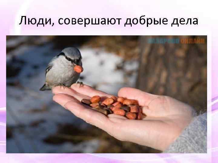 Люди, совершают добрые дела 