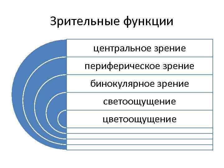 Зрительные функции центральное зрение периферическое зрение бинокулярное зрение светоощущение цветоощущение 