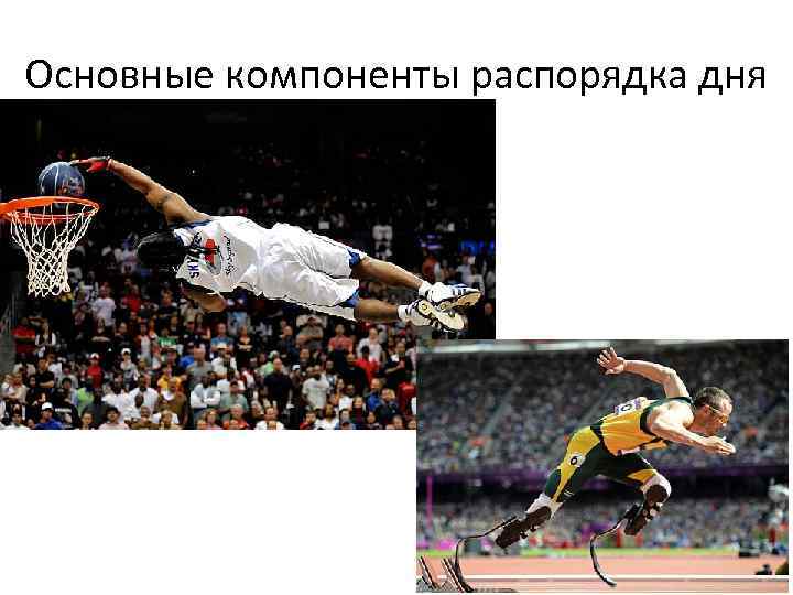 Основные компоненты распорядка дня 