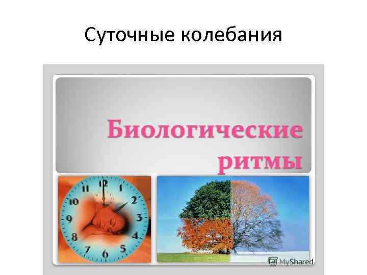 Суточные колебания 