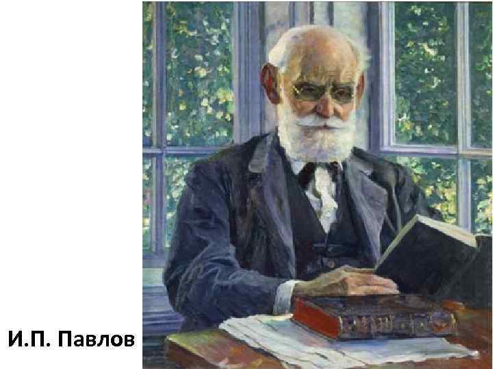 И. П. Павлов 