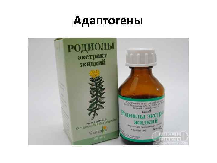 Адаптогены 