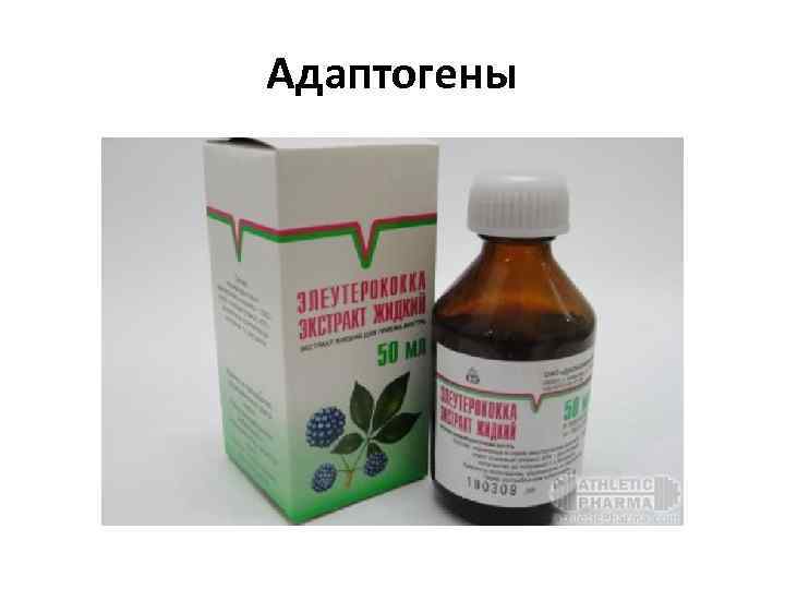Адаптогены 