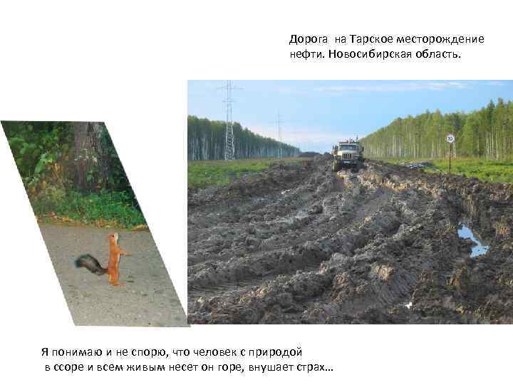 Дорога на Тарское месторождение нефти. Новосибирская область. Я понимаю и не спорю, что человек