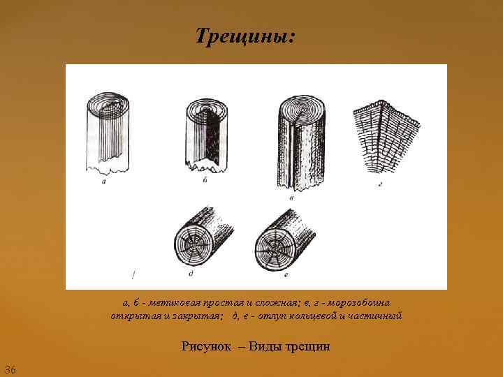 Трещины: а, б - метиковая простая и сложная; в, г - морозобоина открытая и