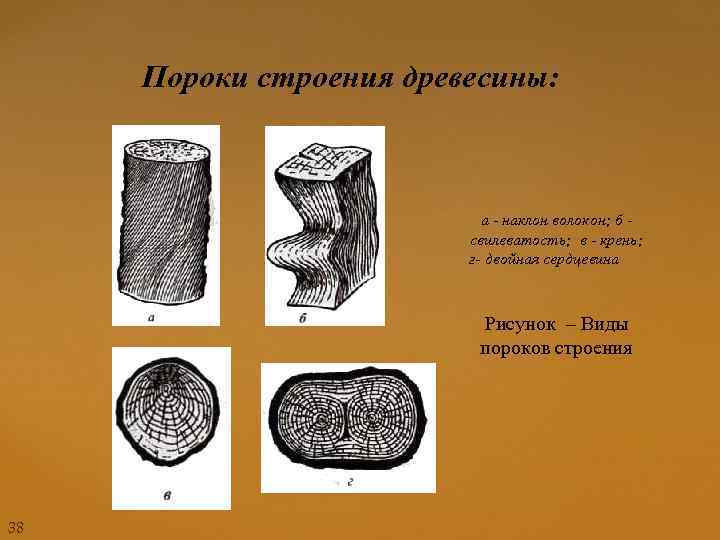 какие еще существуют виды пороков древесины