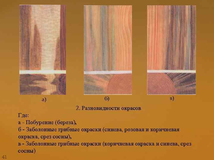 а) б) в) 2. Разновидности окрасов 41 Где: а - Побурение (береза), б -