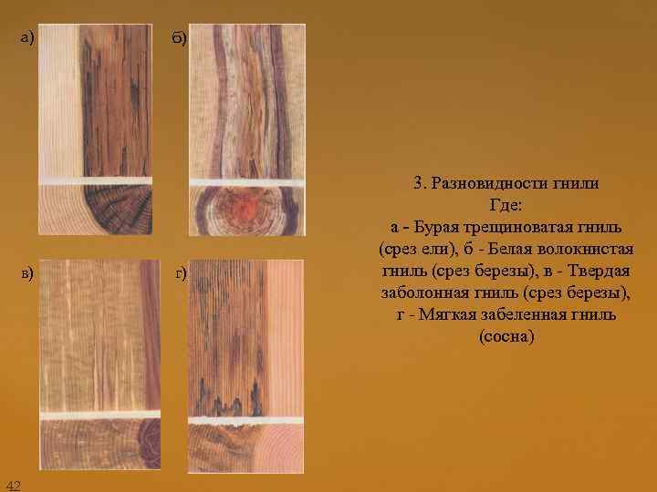 а) в) 42 б) г) 3. Разновидности гнили Где: а - Бурая трещиноватая гниль