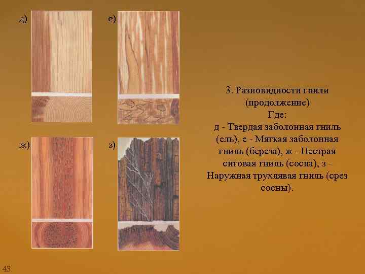 д) ж) 43 е) з) 3. Разновидности гнили (продолжение) Где: д - Твердая заболонная