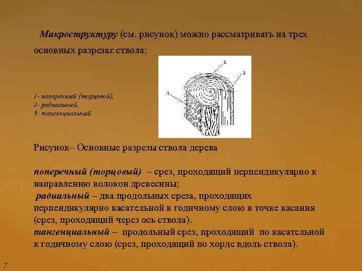  Макроструктуру (см. рисунок) можно рассматривать на трех основных разрезах ствола: 1 - поперечный