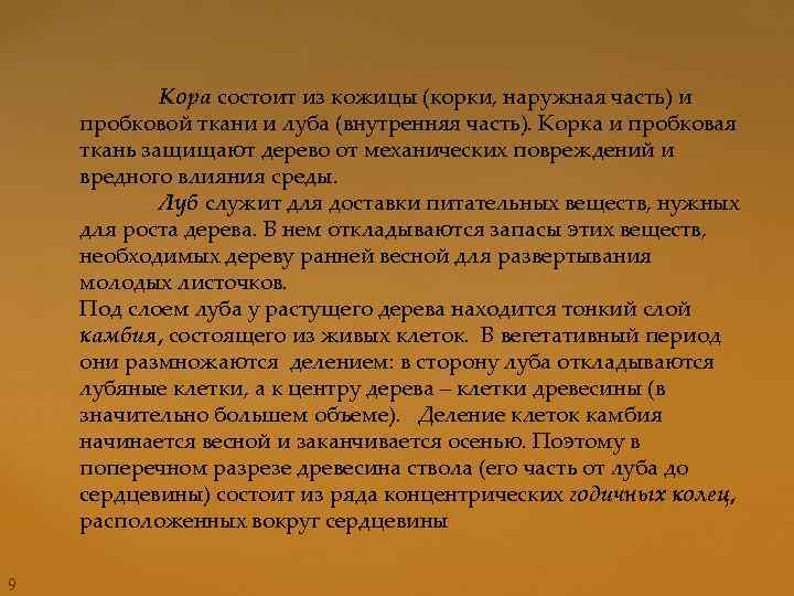 Кора состоит из кожицы (корки, наружная часть) и пробковой ткани и луба (внутренняя часть).