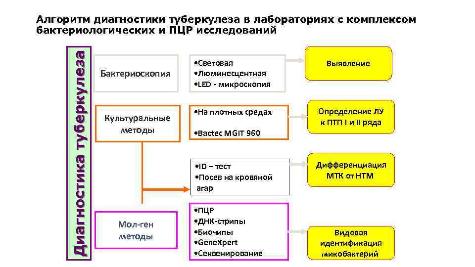 Д и а г н о с т и к а т у б