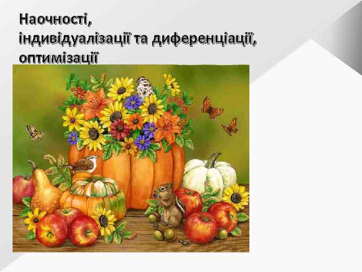 Наочності, індивідуалізації та диференціації, оптимізації 