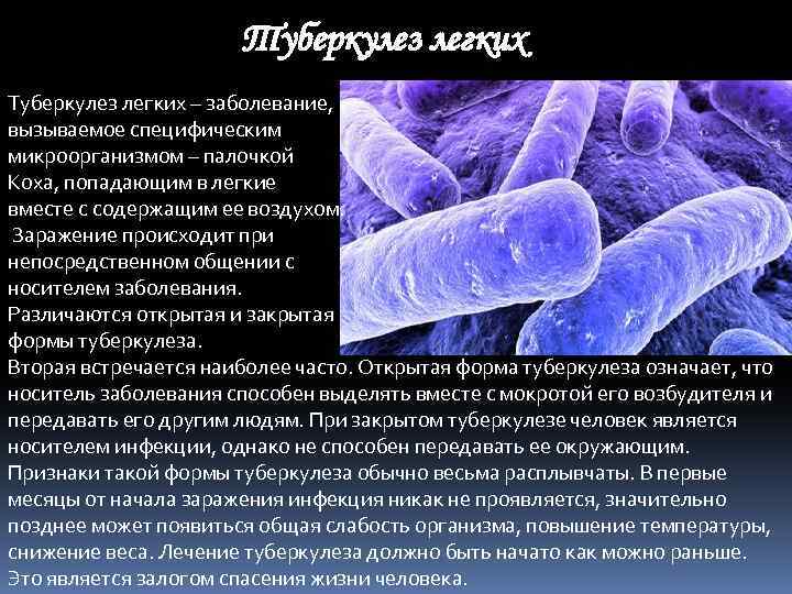 Заболевание туберкулез вызывают бактерии. Палочка Коха Mycobacterium tuberculosis. Болезни вызванные палочка бацилла. Палочка Коха морфология возбудителя.