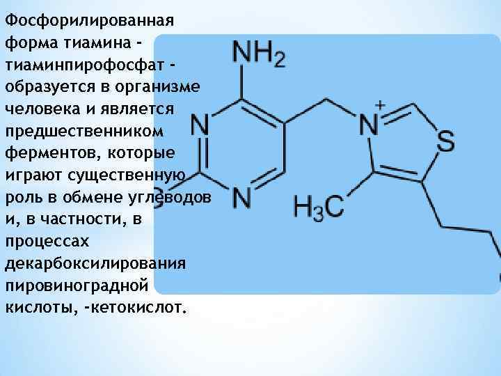 Фолиевая кислота тиамин