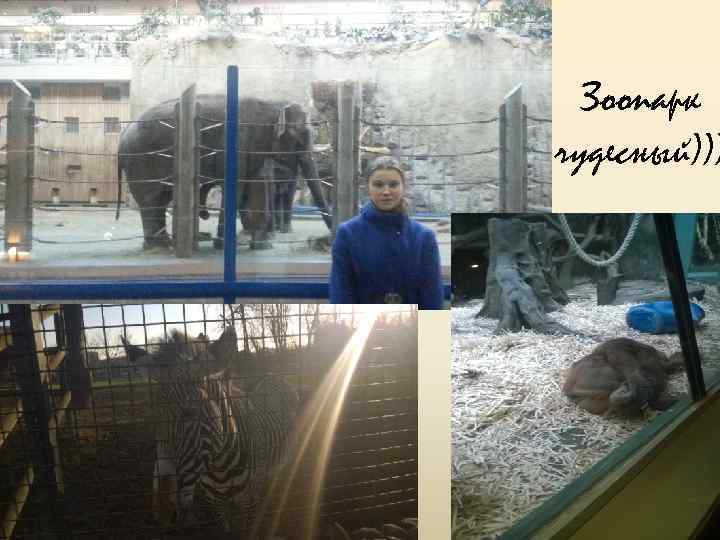 Зоопарк чудесный))) 