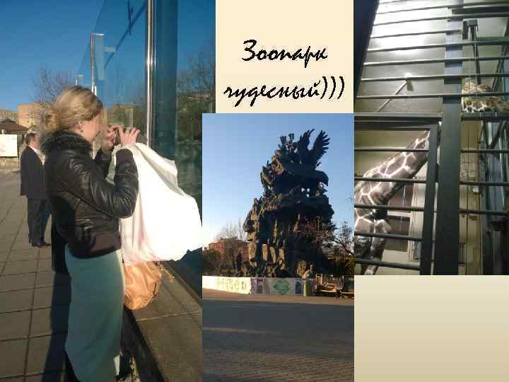 Зоопарк чудесный))) 