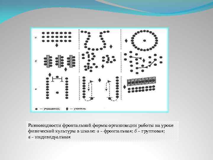 Разновидности фронтальной формы организации работы на уроке физической культуры в школе: а – фронтальная;