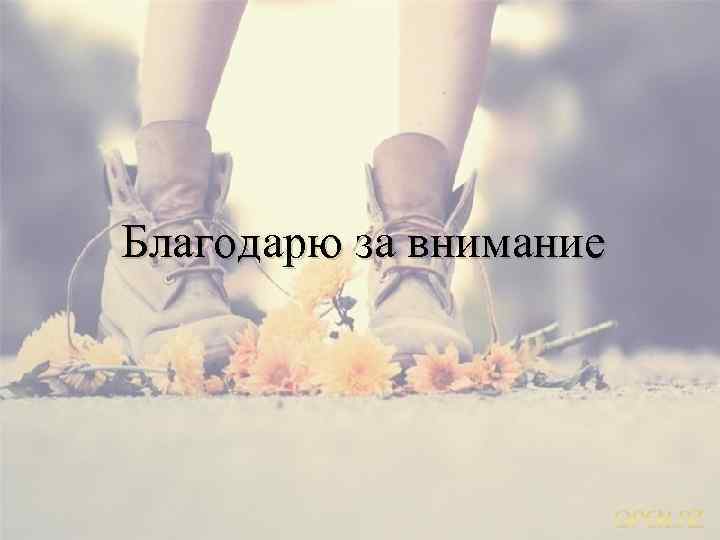 Благодарю за внимание 