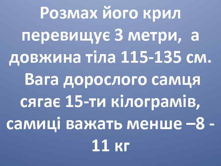 Розмах його крил перевищує 3 метри, а довжина тіла 115 -135 см. Вага дорослого